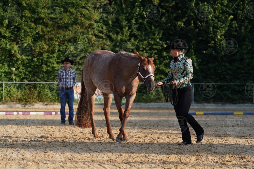 s_A9_09333.jpg
